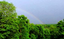A Rainbow over the backyard